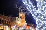 night view of collingwood's town hall building with lit up trees lining the sidewalk