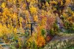 view of chairlift lines and tower in the vibrant autumn landscape of the Blue Mountains. Natural abstract scene.